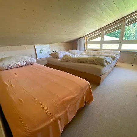 1 Am Auweg * Hirschegg (Vorarlberg)